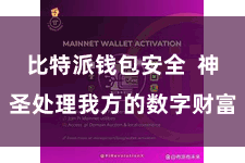 比特派钱包安全  神圣处理我方的数字财富