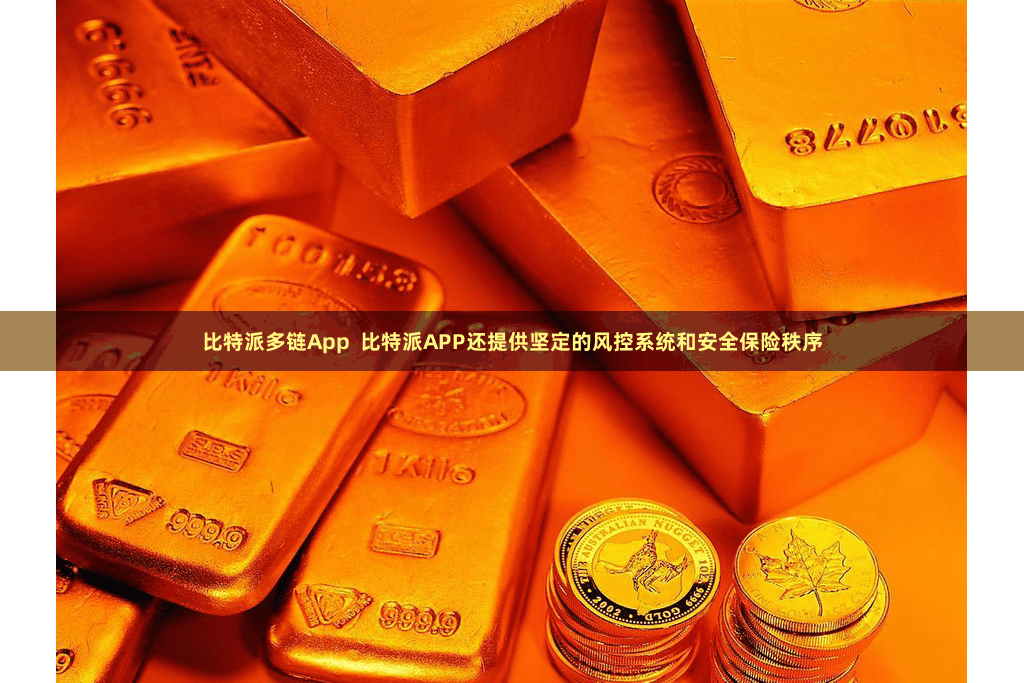 比特派多链App  比特派APP还提供坚定的风控系统和安全保险秩序