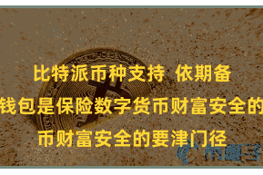 比特派币种支持  依期备份比特币钱包是保险数字货币财富安全的要津门径