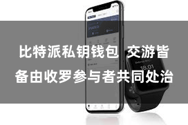 比特派私钥钱包  交游皆备由收罗参与者共同处治