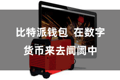 比特派钱包  在数字货币来去阛阓中